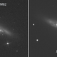 Illustration for article titled New Supernova in the Skies Tonight!